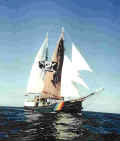 pirschff.jpg (22779 Byte)